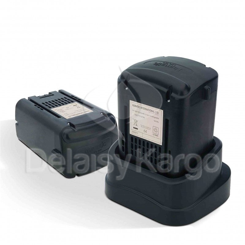 Batterie lithium-ion NX300 36V fournie avec le NBV 190 NX