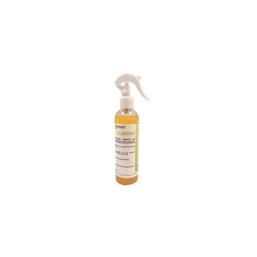 ICA GVN 012 nettoyant graffiti écologique flacon 250ml