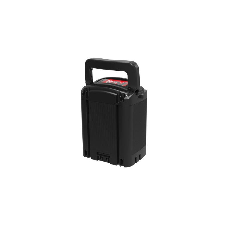 Batterie lithium ION NX300