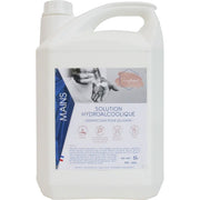 Solution hydroalcoolique ORLAV 3150 bidon 5 litres virucide