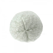 Conditionnement rouleaux sacs poubelle HD blanc 20L professionnel